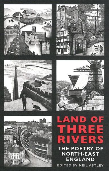 Cover for Neil Astley · Land of Three Rivers: The Poetry of North-East England (Taschenbuch) (2017)