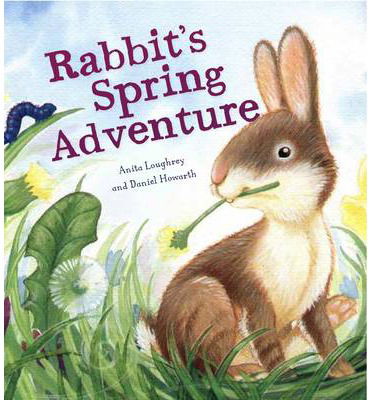 Cover for Anita Loughrey · Rabbit's Spring Adventure - Animal Seasons (Paperback Book) (2013)