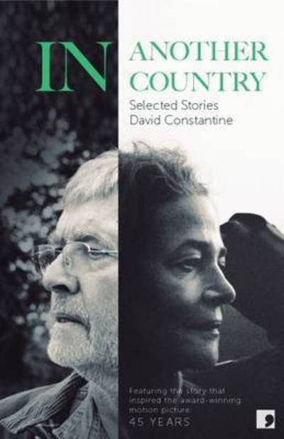 In Another Country: Selected Stories - David Constantine - Books - Comma Press - 9781905583768 - September 24, 2015