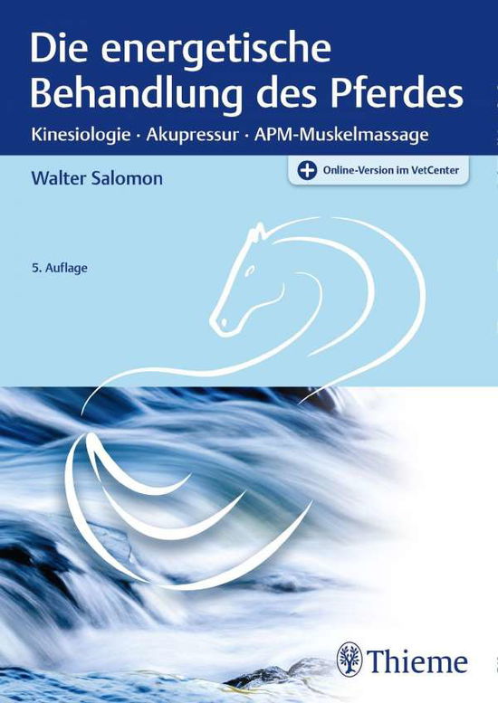 Salomon:die Energetische Behandlung Des - Salomon - Books -  - 9783132428768 - 