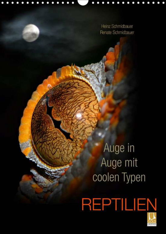 Auge in Auge mit coolen Typ - Schmidbauer - Książki -  - 9783670791768 - 