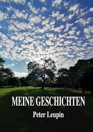Cover for Peter Leupin · Meine Geschichten (Book) (2023)