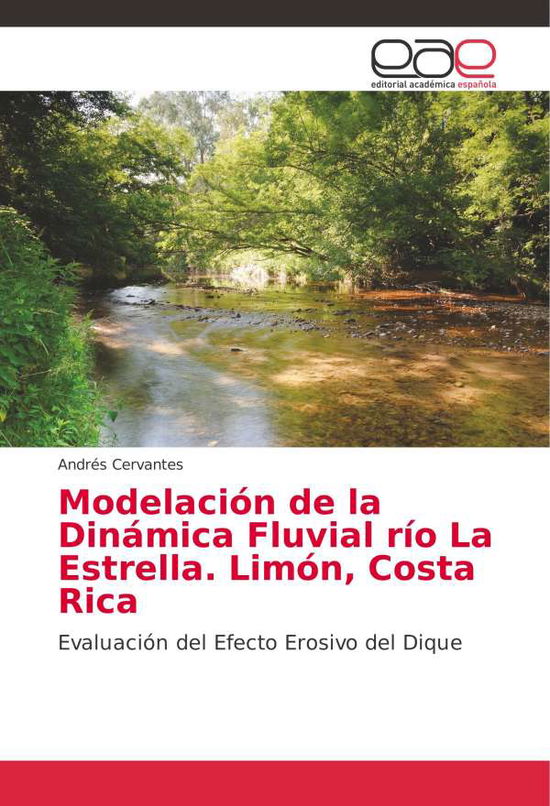 Cover for Cervantes · Modelación de la Dinámica Flu (Book)