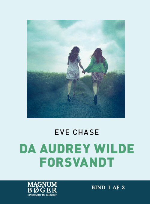 Cover for Eve Chase · Da Audrey Wilde forsvandt (Storskrift) (Inbunden Bok) [2:a utgåva] (2020)