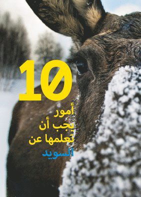Cover for Emma Randecker · 10 things to know about Sweden: arabiska 5-pack (Book) (2015)