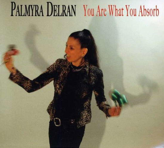 You Are What You Absorb - Palmyra Delran - Muzyka - CD Baby - 0884501747769 - 5 marca 2013