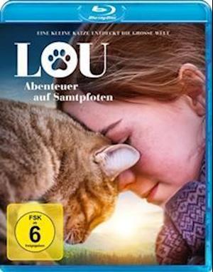 Cover for Guillaume Maidatchevsky · Lou - Abenteuer Auf Samtpfoten (Blu-ray) (2023)