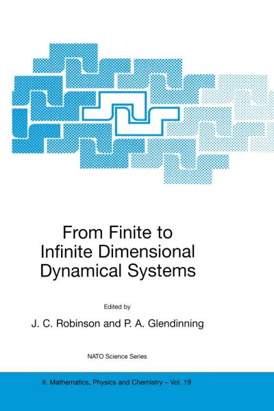 From Finite to Infinite Dimensional Dynamical Systems - NATO Science Series II - James C Robinson - Bøger - Springer - 9780792369769 - 31. maj 2001