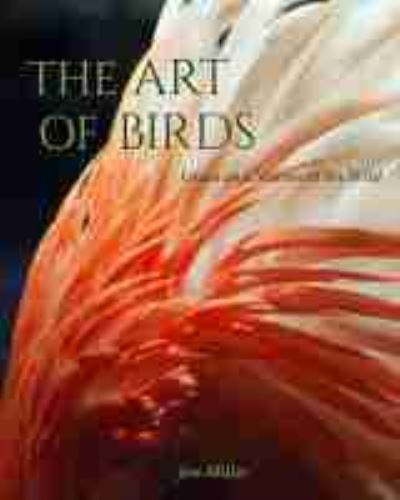 Cover for Jim Miller · The Art of Birds: Grace and Motion in the Wild (Hardcover Book) (2021)