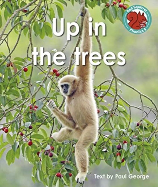 Cover for Paul George · Up in the trees - Red Squirrel Phonics Level 5 Set 2c (Paperback Book) (2023)