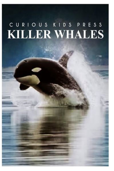 Cover for Curious Kids Press · Killer Whales - Curious Kids Press (Paperback Book) (2014)