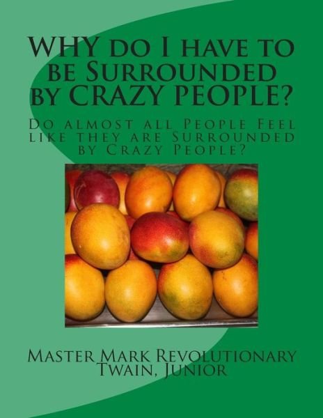 Cover for Mr Mark Revolutionary Twain Jr · Why Do I Have to Be Surrounded by Crazy People?: Do Almost All People Feel Like They Are Surrounded by Crazy People? (Pocketbok) (2014)