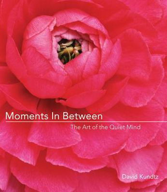 Cover for Kundtz, J David (Kundtz, J David) · Moments in Between: The Art of the Quiet Mind (Paperback Bog) (2006)