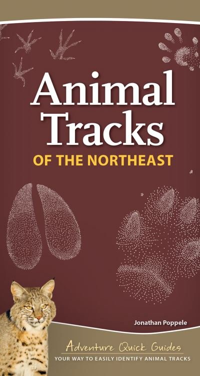 Animal Tracks of the Northeast: Your Way to Easily Identify Animal Tracks - Adventure Quick Guides - Jonathan Poppele - Bøker - Adventure Publications, Incorporated - 9781647550769 - 5. august 2021