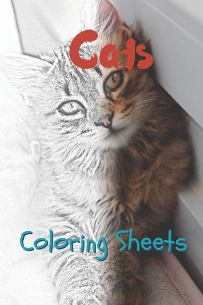 Cover for Julian Smith · Cat Coloring Sheets (Pocketbok) (2019)