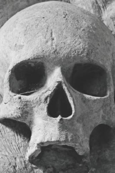 Cover for Pagan Essentials · Skeleton Skull Gothic Notebook (Paperback Bog) (2019)