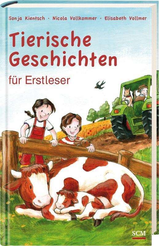 Cover for Vollmer · Tierische Geschichten für Erstl (Bok)