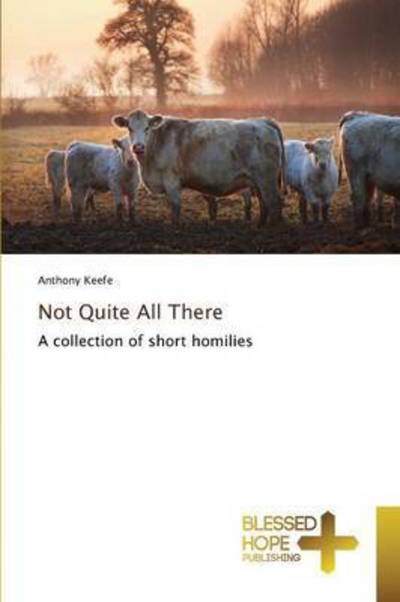 Cover for Keefe Anthony · Not Quite All There (Paperback Book) (2015)