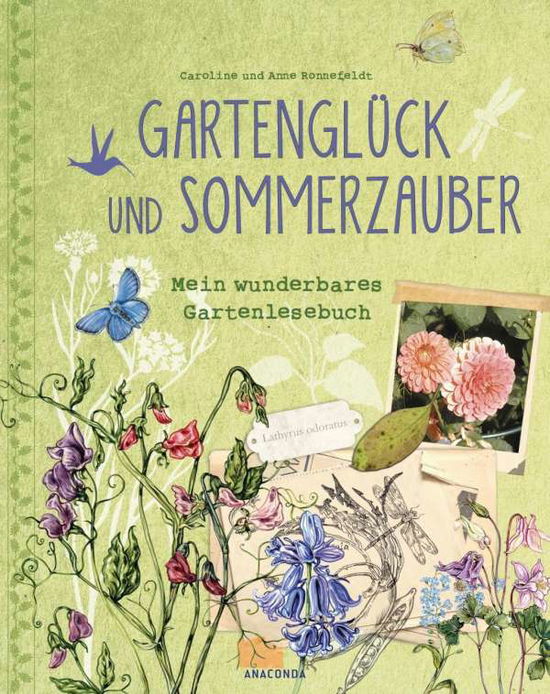 Cover for Ronnefeldt · Gartenglück und Sommerzauber (Book)