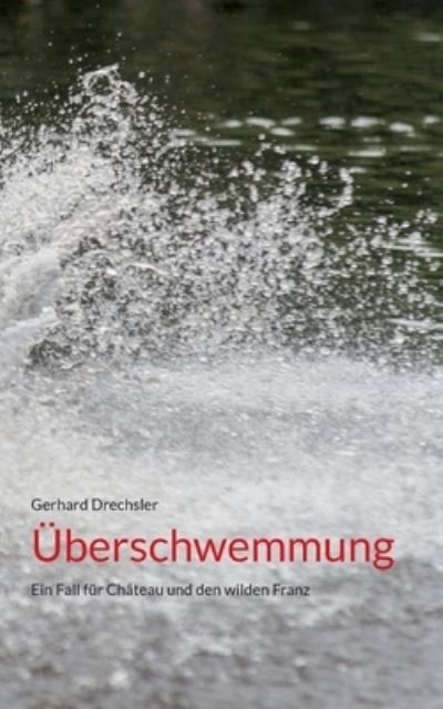 Cover for Gerhard Drechsler · Überschwemmung (Paperback Book) (2023)