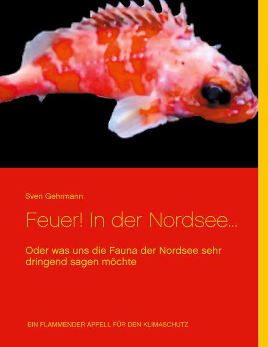 Cover for Gehrmann · Feuer! In der Nordsee... (Bok)