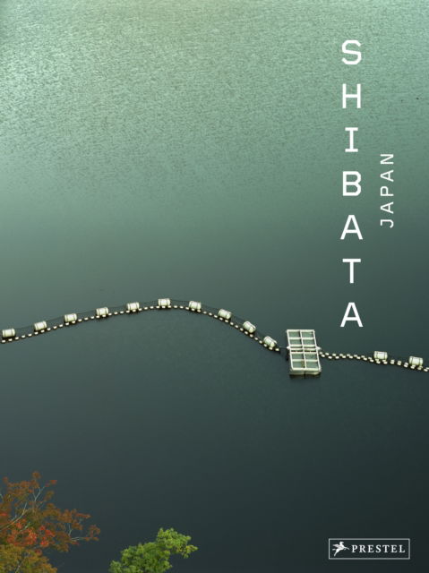 Cover for Phillip Prodger · Toshio Shibata: Japan (Hardcover Book) (2023)