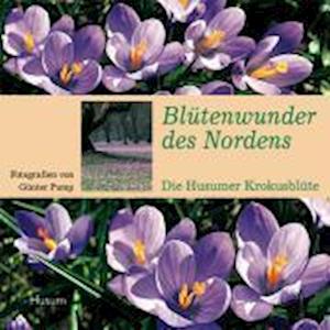 Cover for Günter Pump · Blütenwunder des Nordens (Paperback Book) (2008)