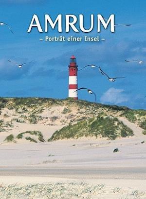 Cover for Jens Quedens · Amrum - Porträt einer Insel (Pamphlet) (2013)