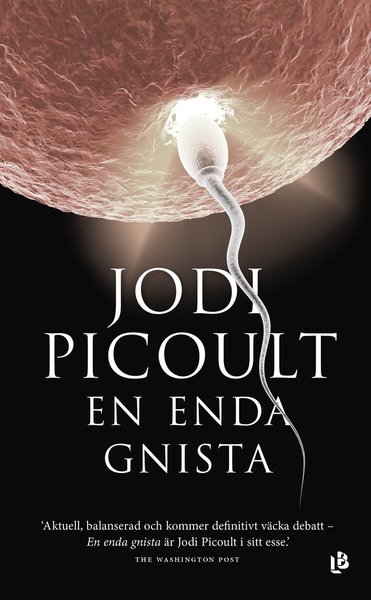 Cover for Jodi Picoult · En enda gnista (Paperback Bog) (2021)