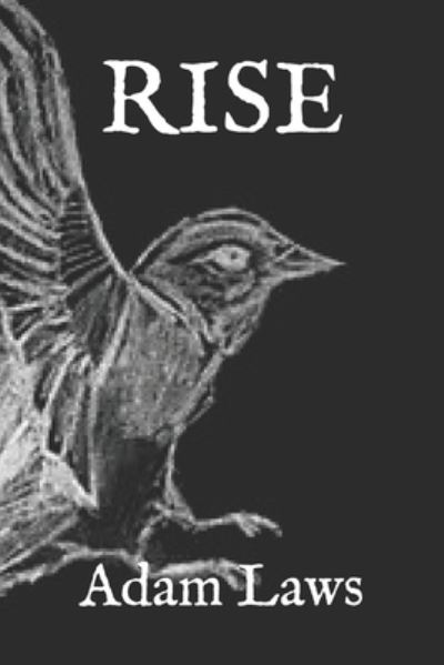 Cover for Adam Laws · Rise (Paperback Book) (2020)