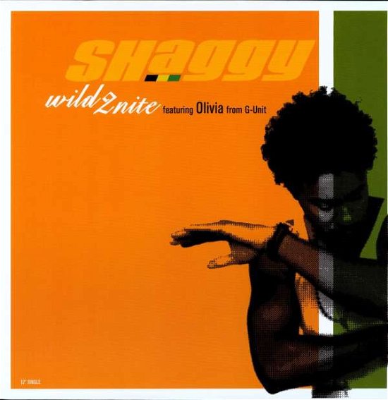 Cover for Shaggy · Wild 2nite (X5) (LP) (2015)