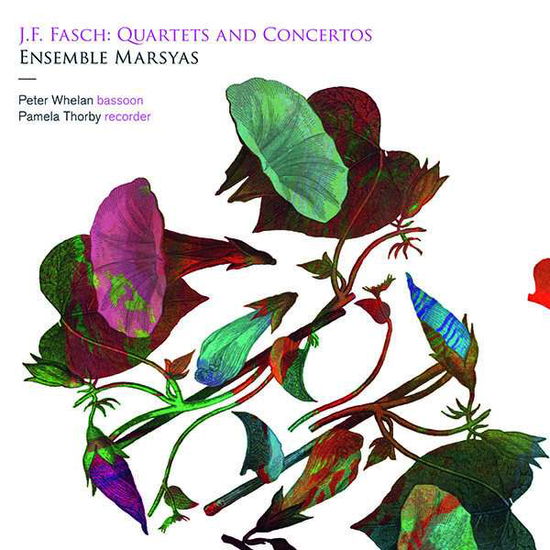 Fasch: Quartets And Concertos - Ensemble Marsyas / Peter Whelan / Pamela Thorby - Muziek - LINN - 0691062046770 - 26 juli 2019