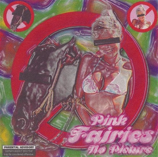 Cover for Pink Fairies · No Picture (CD) (2020)