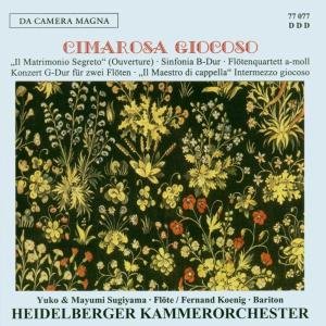 Sinfonia Concerto for 2 Flutes - Cimaros / Sugiyama / Koenig / Preis - Muziek - DCAM - 4011563770770 - 2012