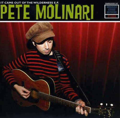 It Came Out Of The Wil - Pete Molinari - Musique - DAMAGED GOODS - 5020422030770 - 19 juin 2008