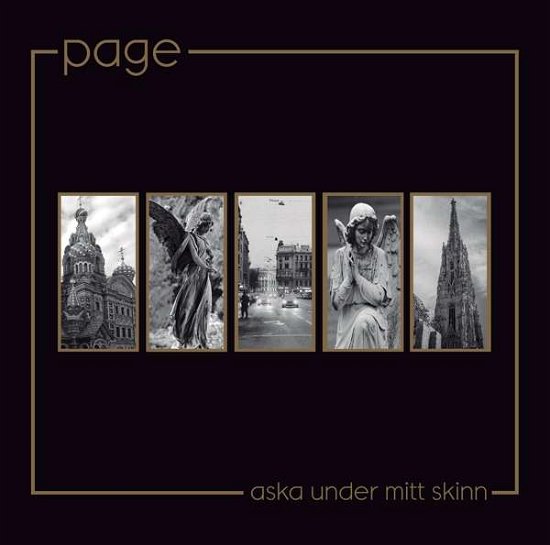 Cover for Page · Aska Under Mitt Skinn (LP) (2021)
