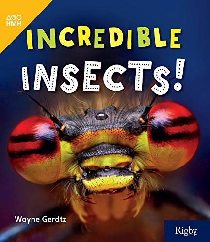 Cover for Houghton Mifflin Harcourt · Incredible Insects Leveled Reader Grade 2 (Paperback Book) (2019)