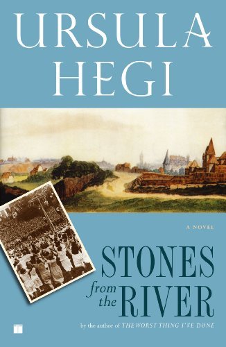 Stones from the River - Ursula Hegi - Livros - Prentice Hall (a Pearson Education compa - 9780684844770 - 4 de agosto de 1997