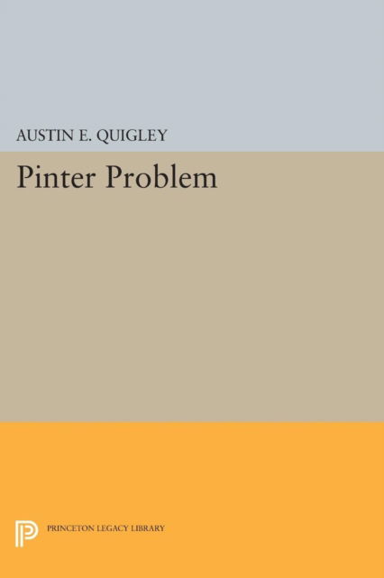 Cover for Austin E. Quigley · Pinter Problem - Princeton Legacy Library (Paperback Book) (2015)