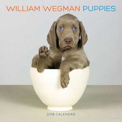 Cover for William Wegman · William Wegman Puppies 2018 Wall Calendar (Bok) (2017)