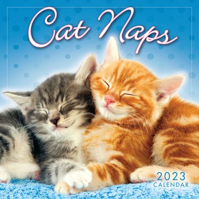 Cover for Sellers Publishing · Cat Naps - Mini 12 Month (Paperback Book) (2022)