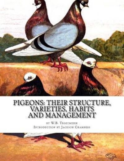 Cover for W B Tegetmeier · Pigeons (Paperback Book) (2016)