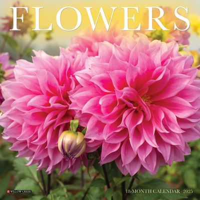 Willow Creek Press · Flowers 2025 7 X 7 Mini Wall Calendar (Kalender) (2024)