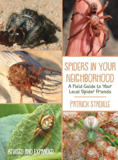 Cover for Patrick Stadille · Spiders in Your Neighborhood: A Field Guide to Your Local Spider Friends, Revised and Expanded (Paperback Book) (2022)