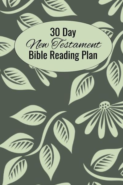 Cover for Cs Moyer · 30 Day New Testament Bible Reading Plan (Paperback Book) (2019)