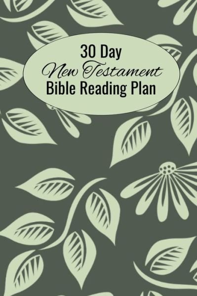 Cover for Cs Moyer · 30 Day New Testament Bible Reading Plan (Paperback Bog) (2019)