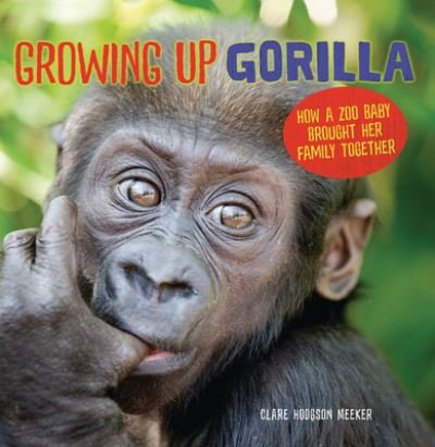 Cover for Clare Hodgson Meeker · Growing Up Gorilla (Paperback Book) (2023)