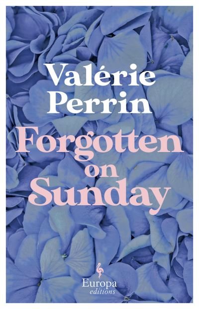Cover for Valerie Perrin · Forgotten on Sunday: From the million copy bestselling author of Fresh Water for Flowers (Paperback Bog) (2023)