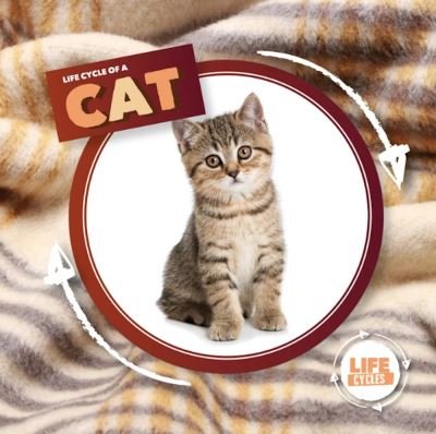 Life Cycle Of A Cat - Life Cycle of A... - Kirsty Holmes - Libros - BookLife Publishing - 9781839274770 - 3 de mayo de 2021