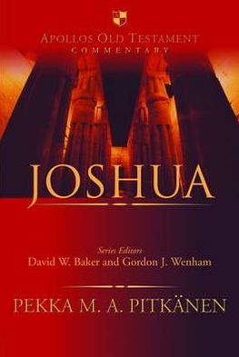 Cover for Pekka Pitkanen · Joshua: An Introduction And Survey - Apollos Old Testament Commentary (Hardcover Book) (2008)